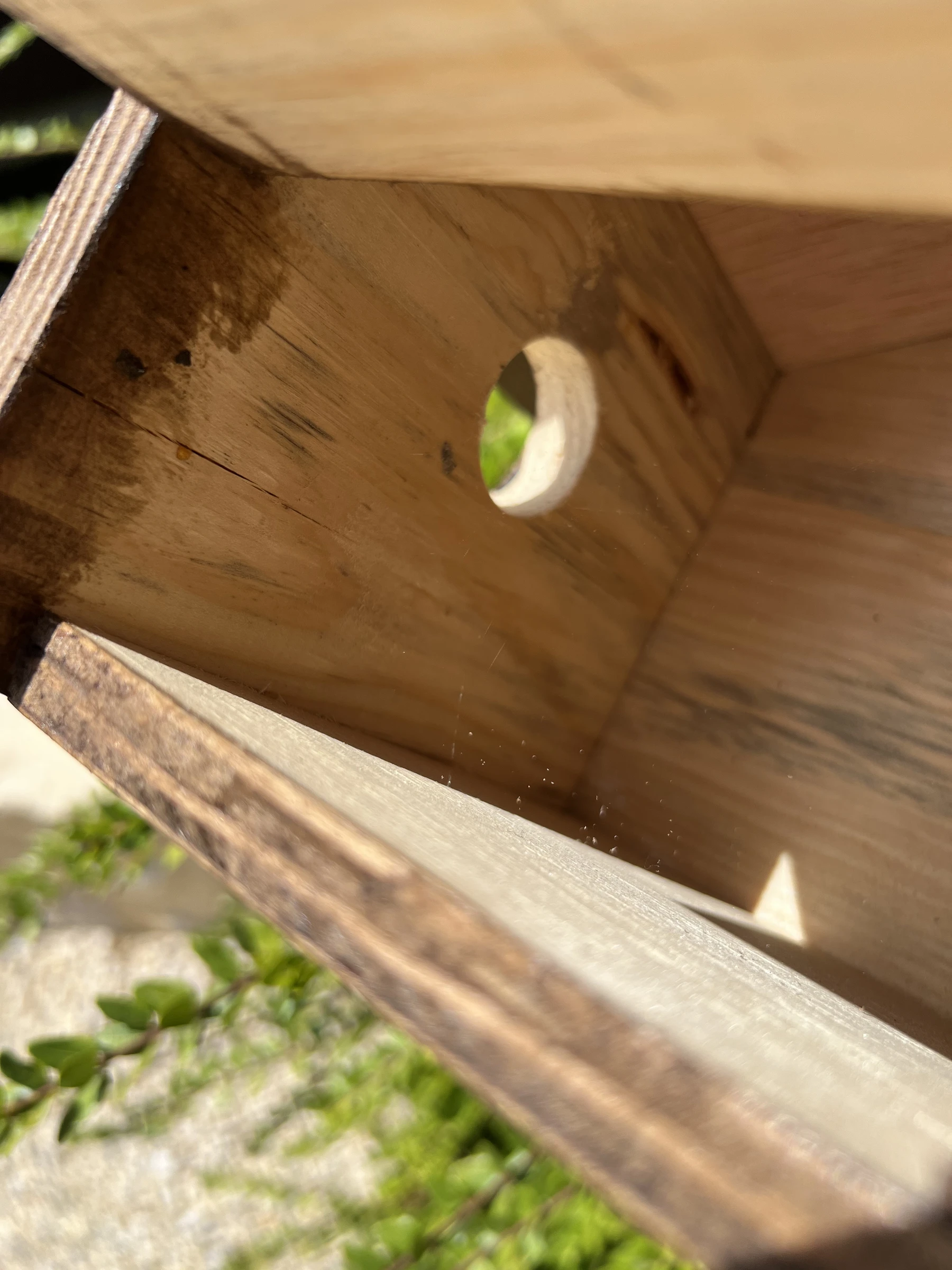 🪺 Nichoir oiseaux 3 compartiments fait main en bois avec toit bitumé – photo 15